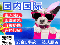 扬州机场快运国际宠物托运 【国